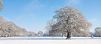 曼城客场轻松取胜，卫冕望可期